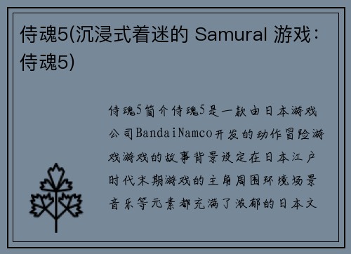侍魂5(沉浸式着迷的 SamuraI 游戏：侍魂5)
